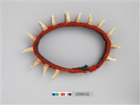 男子獸牙頭環藏品圖，第16張